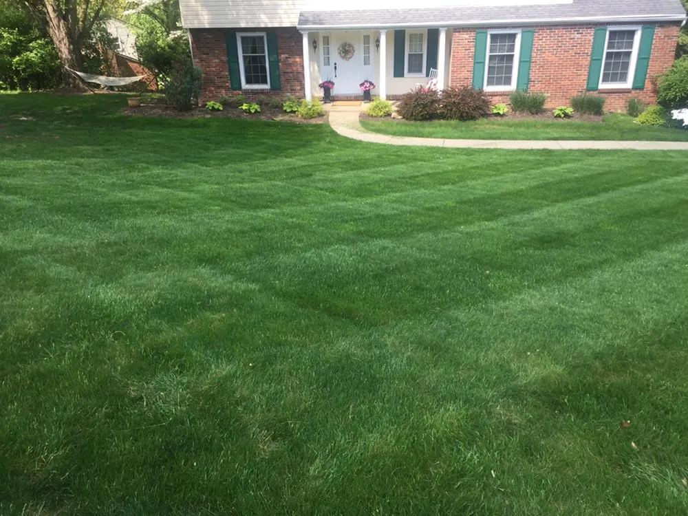 Professional landscape design near you in Canonsburg, PA by Delbusso Landscaping