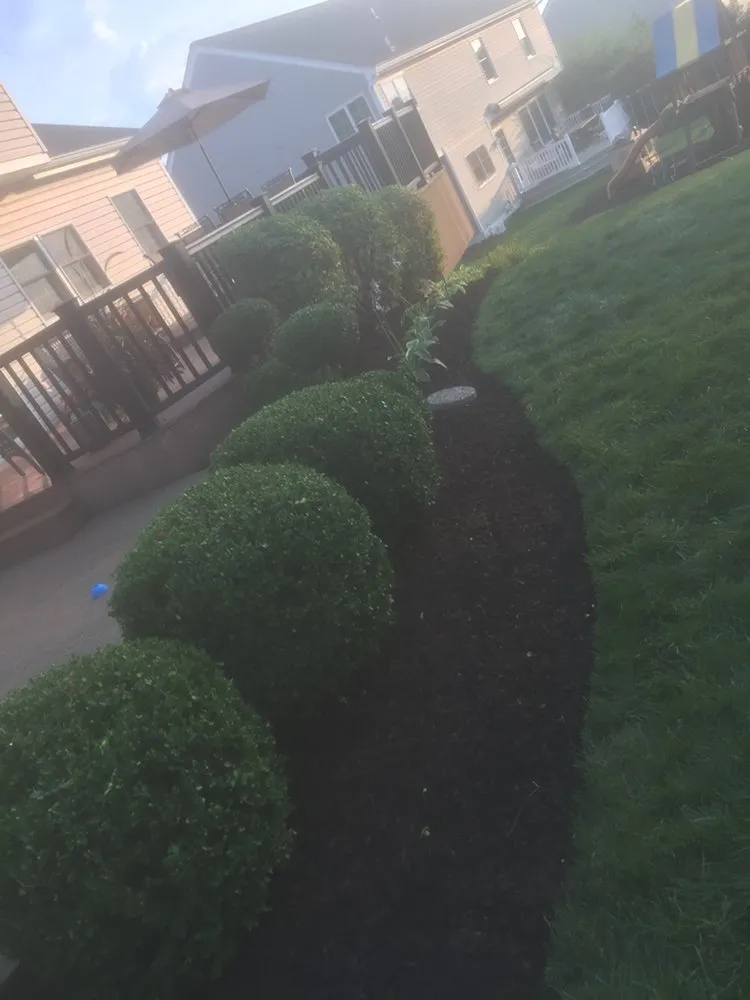 Expert yard maintenance for beautiful yards across Canonsburg, PA - Delbusso Landscaping