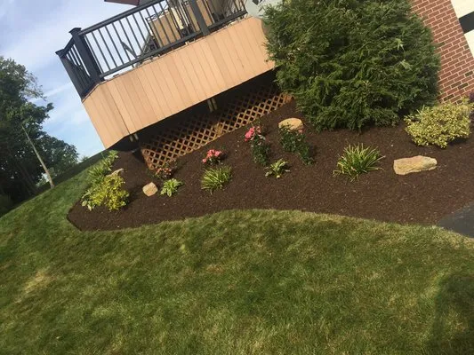 Delbusso Landscaping