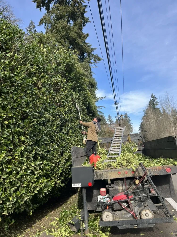 Custom landscape installation in Beaverton, OR by Delcid General Construction