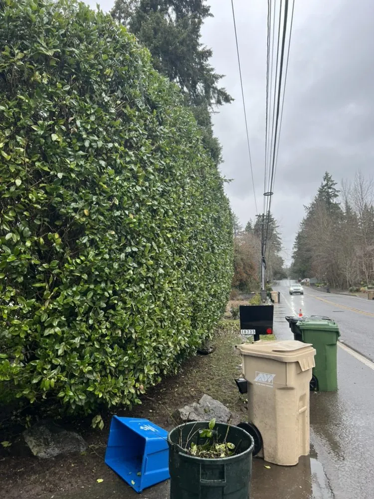 Professional garden landscaping in Beaverton, OR - Delcid General Construction