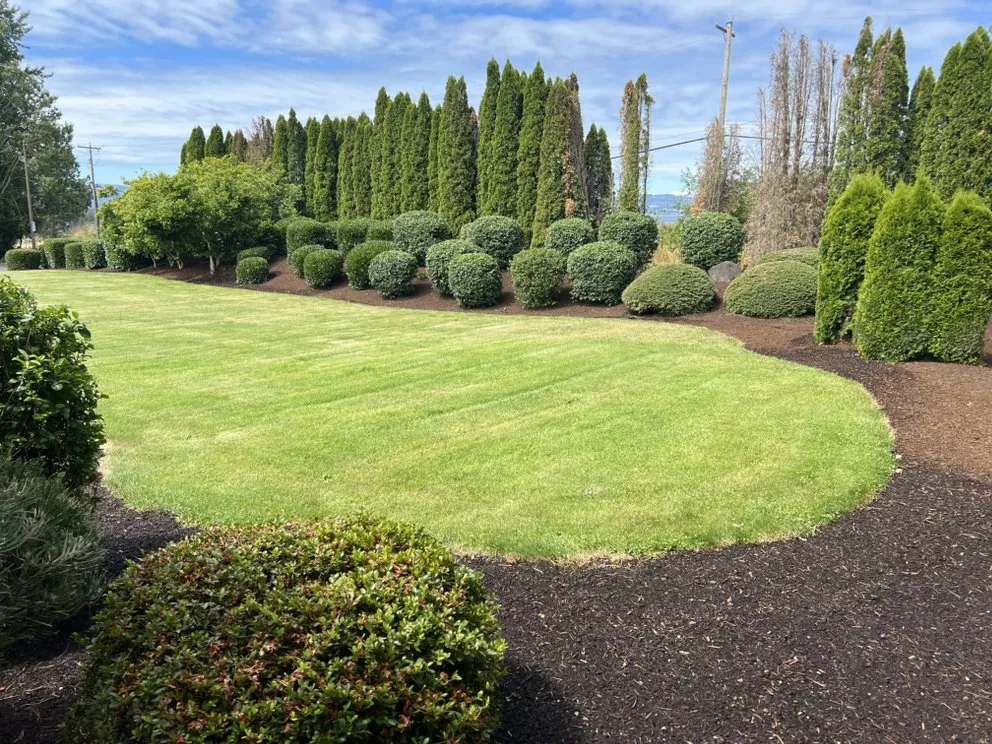 Expert lawn mowing service for residential properties across Beaverton, OR - Delcid General Construction