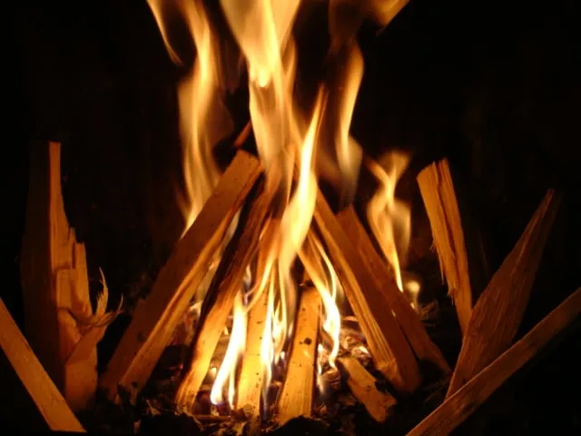 Top-rated yard maintenance in Upper Darby, PA - Delco Mulch and Supply