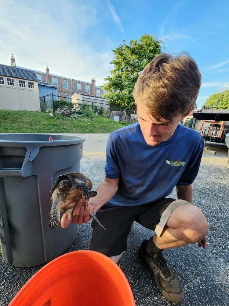 Professional landscape design for beautiful yards across Media, PA - Delco Ponds And Waterscapes By Gramercy