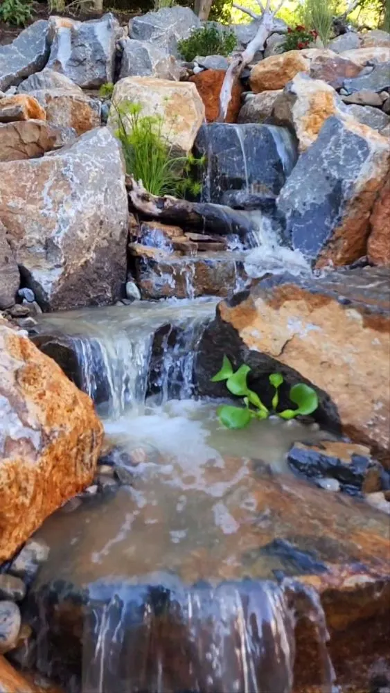 Professional garden landscaping near you in Media, PA by Delco Ponds And Waterscapes By Gramercy