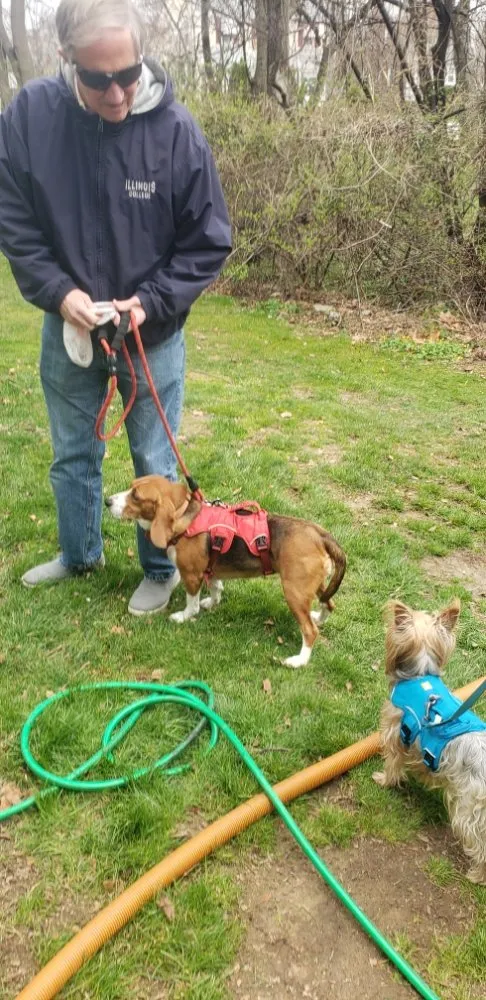 Professional residential landscaping experts serving Media, PA - Delco Ponds And Waterscapes By Gramercy