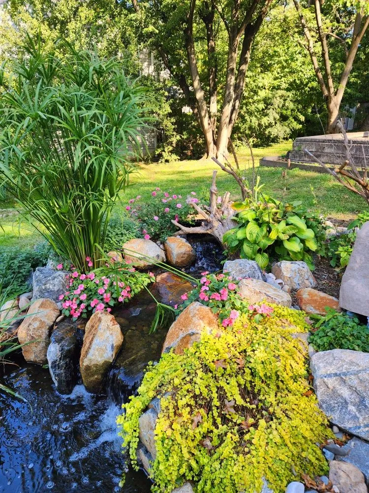 Trusted lawn mowing service in Media, PA by Delco Ponds And Waterscapes By Gramercy