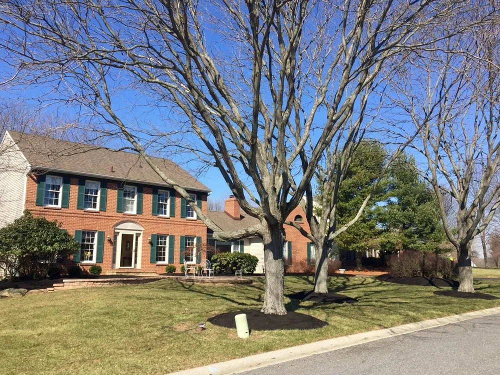 Affordable landscape installation in Aston, PA - Delco Pro Landscaping