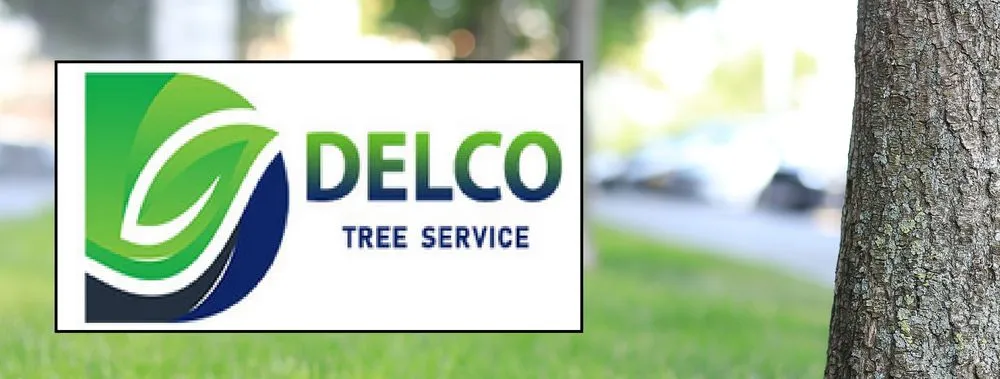 Trusted residential landscaping in Indianapolis, IN by Delco Tree Service