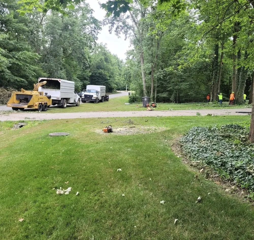 Professional yard maintenance in Indianapolis, IN - Delco Tree Service