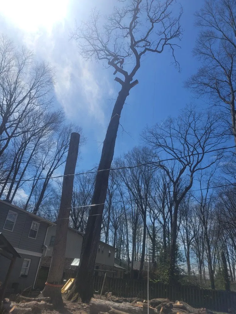 Professional residential landscaping experts serving Indianapolis, IN - Delco Tree Service