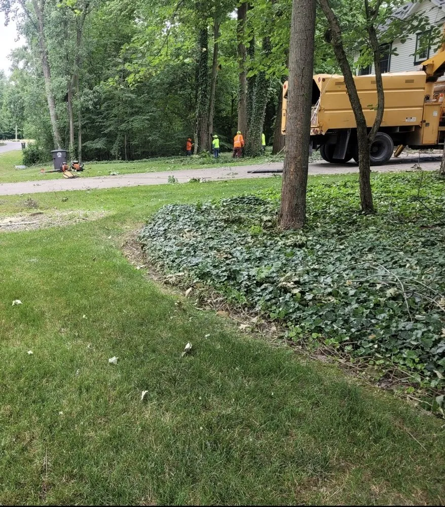 Reliable outdoor landscaping in Indianapolis, IN - Delco Tree Service