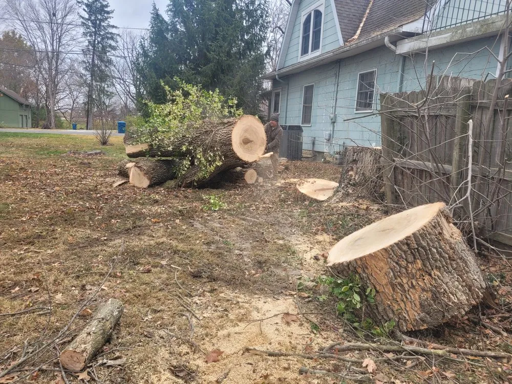 Top-rated lawn mowing service for year-round maintenance across Indianapolis, IN - Delco Tree Service