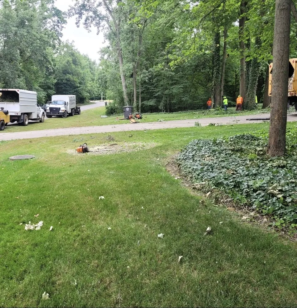 Professional landscape design for residential properties in Indianapolis, IN by Delco Tree Service