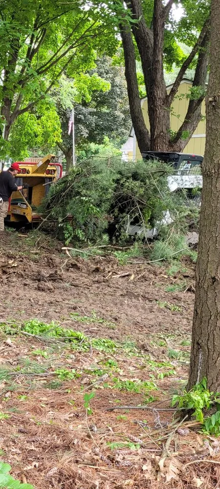 Reliable yard cleanup service in Indianapolis, IN - Delco Tree Service