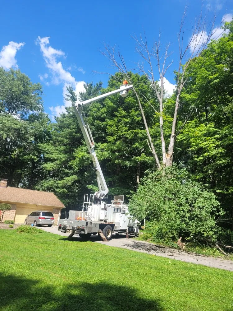 Trusted residential landscaping in Indianapolis, IN by Delco Tree Service