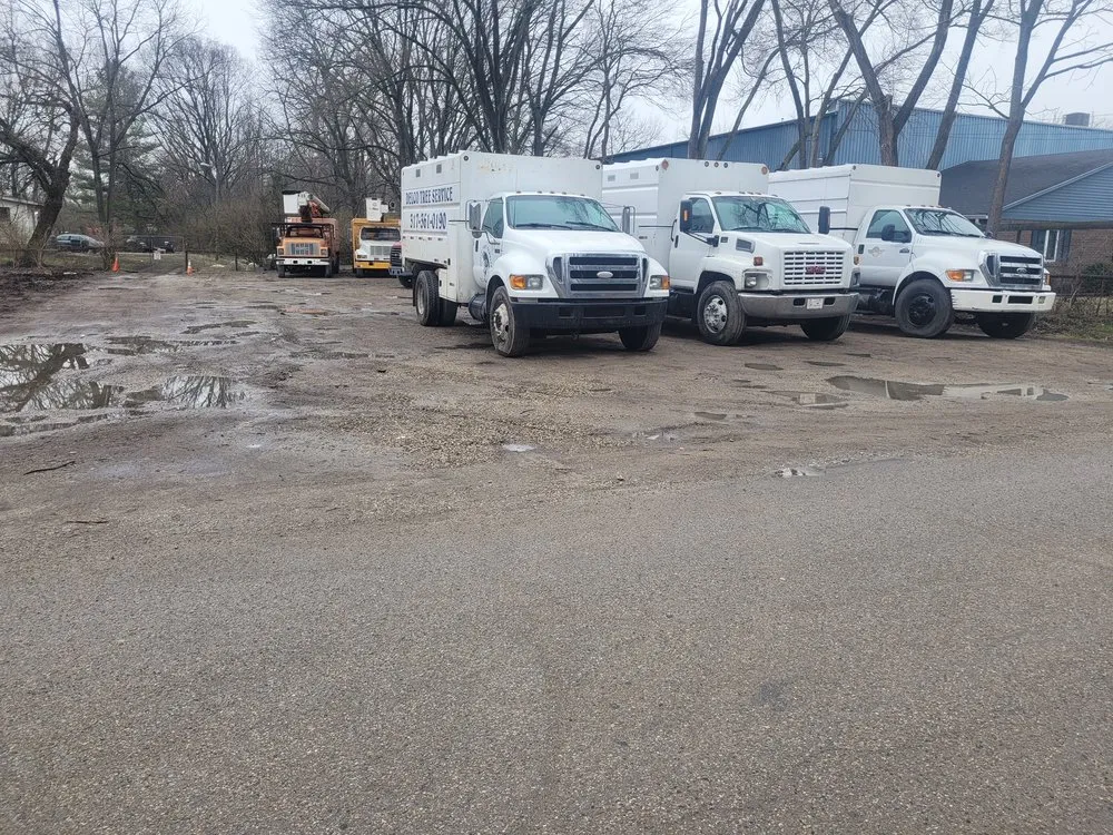 Affordable landscaping services for residential properties in Indianapolis, IN by Delco Tree Service