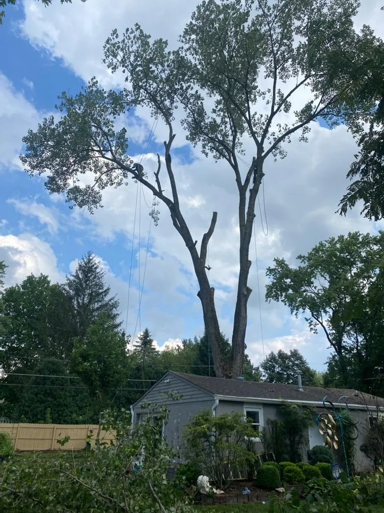 Trusted garden landscaping in Indianapolis, IN by Delco Tree Service