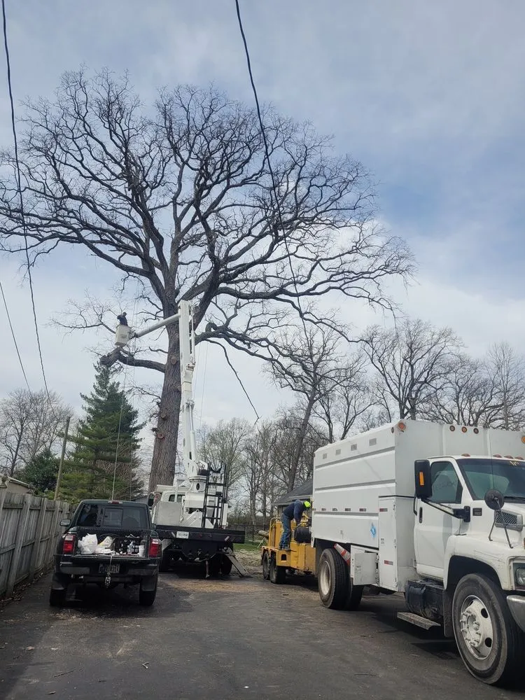 Local landscape installation in Indianapolis, IN - Delco Tree Service