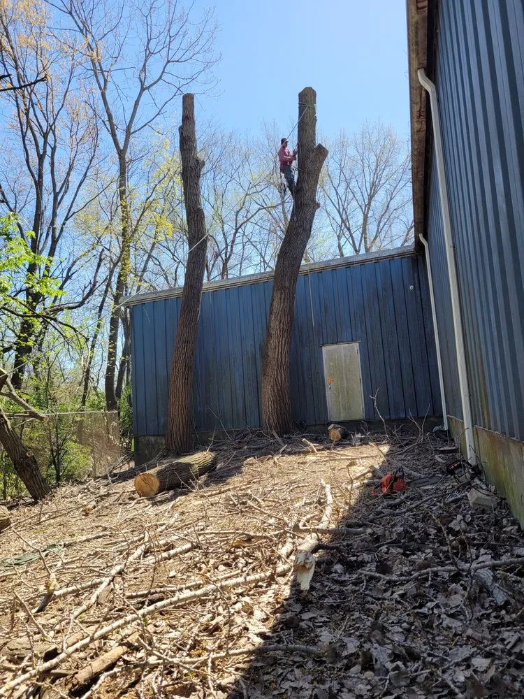 Top-rated yard cleanup service for year-round maintenance across Indianapolis, IN - Delco Tree Service