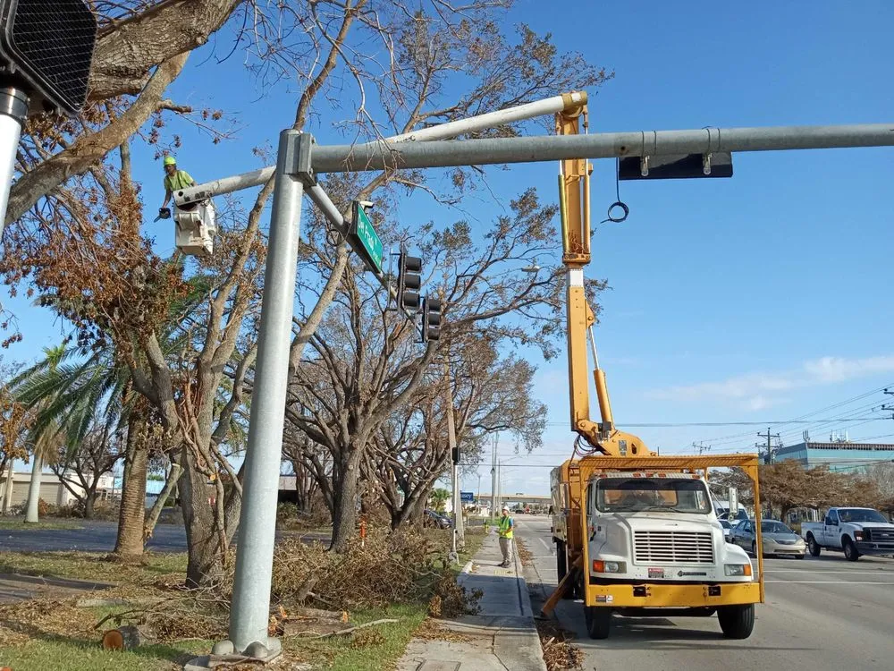 Expert landscaping services in Indianapolis, IN by Delco Tree Service