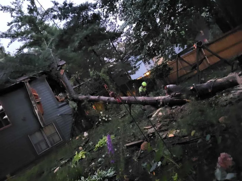 Reliable landscaping services for outdoor upgrades in Indianapolis, IN by Delco Tree Service