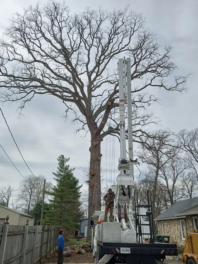 Local yard cleanup service for outdoor upgrades in Indianapolis, IN by Delco Tree Service