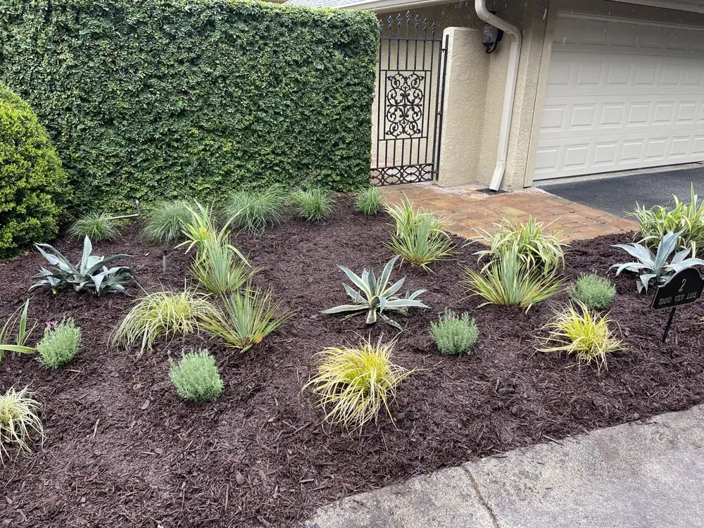 Top-rated outdoor landscaping for beautiful yards across Savannah, GA - Delegal Landscapes