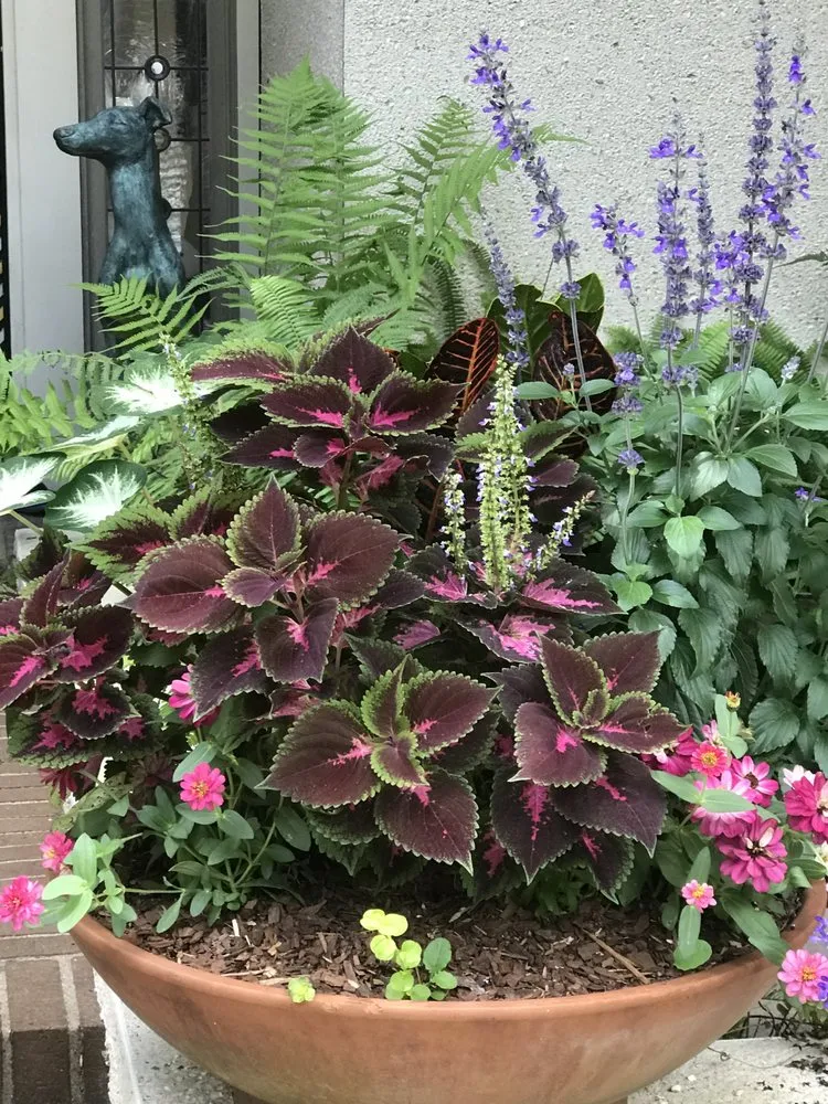 Affordable landscape design for outdoor upgrades across Savannah, GA - Delegal Landscapes