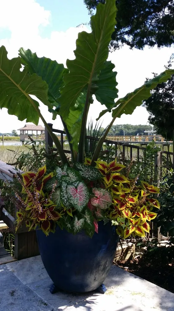 Trusted lawn care service experts serving Savannah, GA - Delegal Landscapes