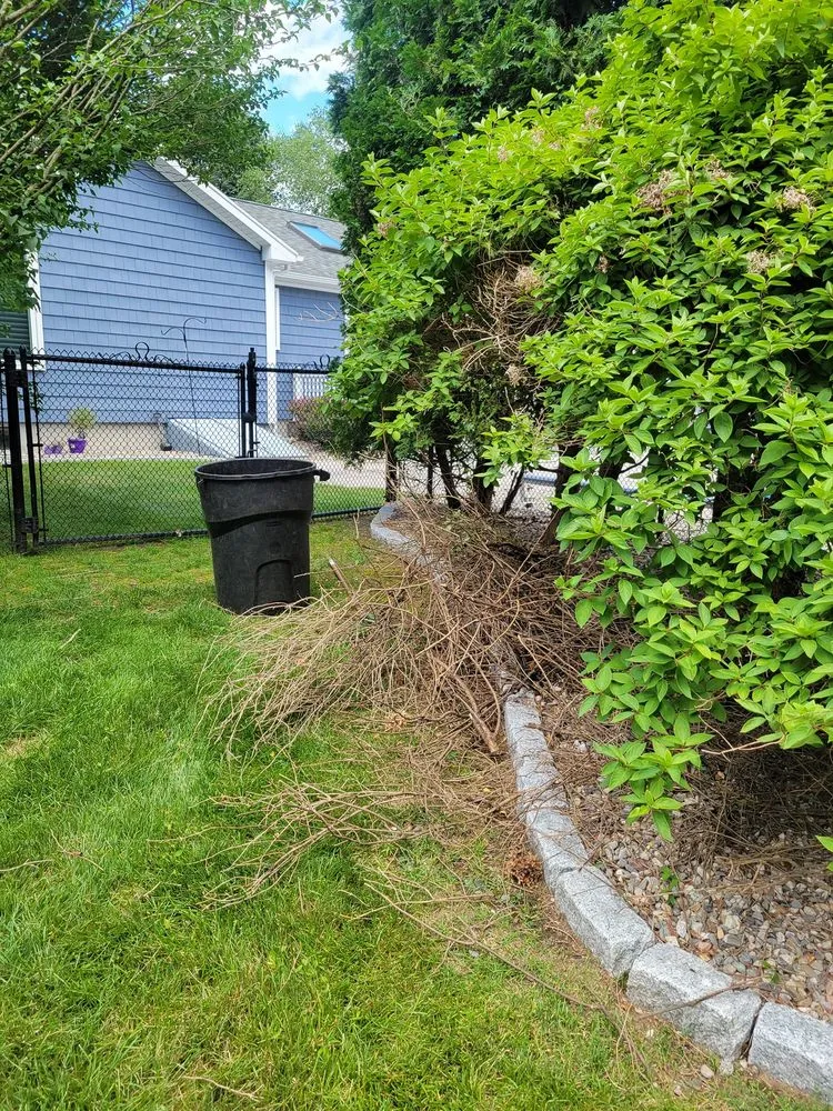 Professional residential landscaping for homes in Springfield, MA by Deleon Hardscapes