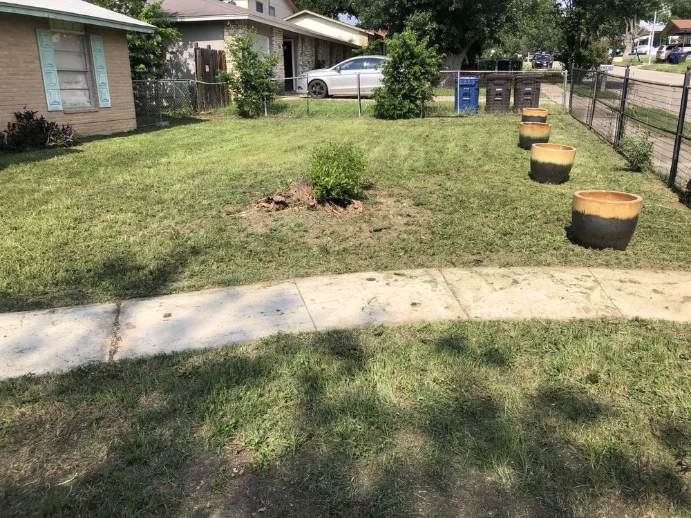 Affordable landscaping services in San Antonio, TX by DeLeon Lawn Service