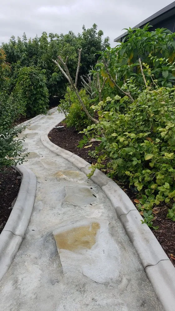 Top-rated yard cleanup service with custom design across Punta gorda, FL - Deleons Lawn Service