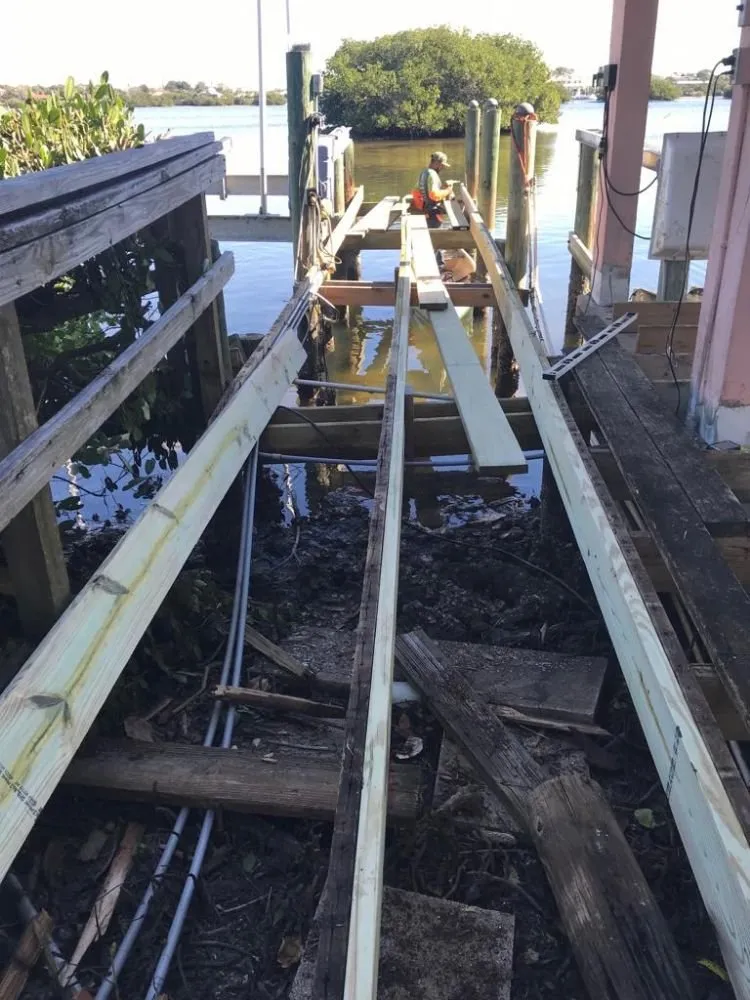 Affordable landscaping services for year-round maintenance in Punta gorda, FL by Deleons Lawn Service