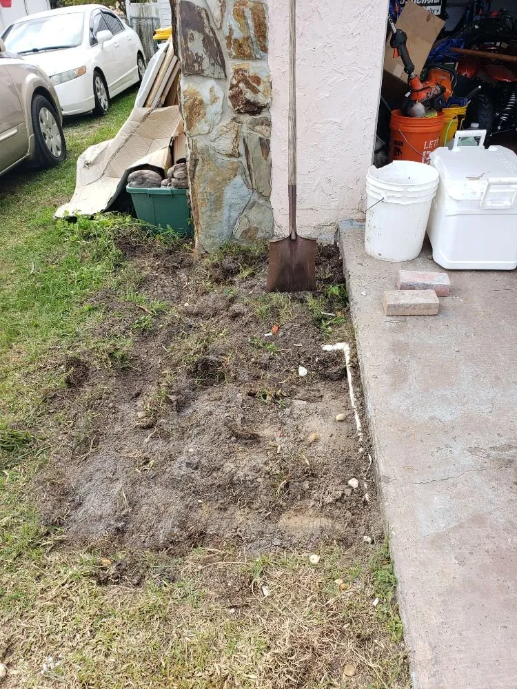 Local yard cleanup service experts serving Punta gorda, FL - Deleons Lawn Service