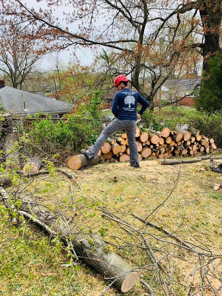 Custom landscape installation experts serving Engleside, VA - Dele's Tree Service