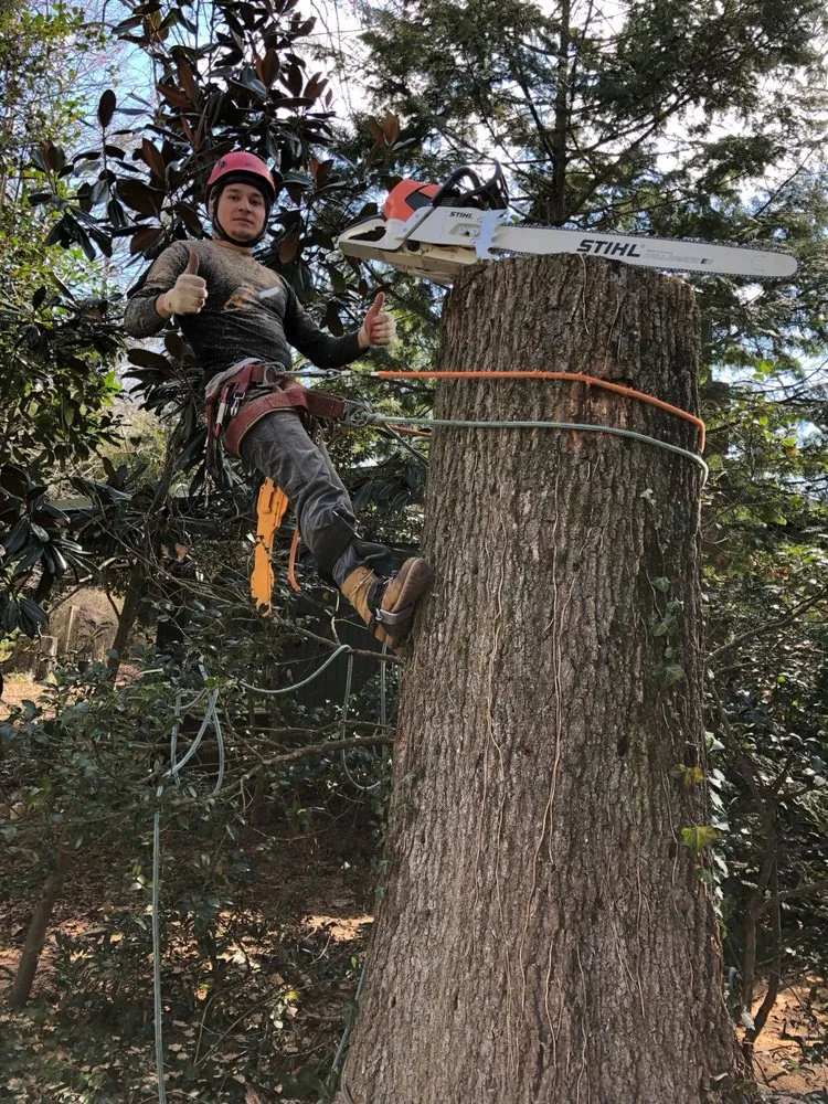 Custom lawn mowing service in Engleside, VA by Dele's Tree Service