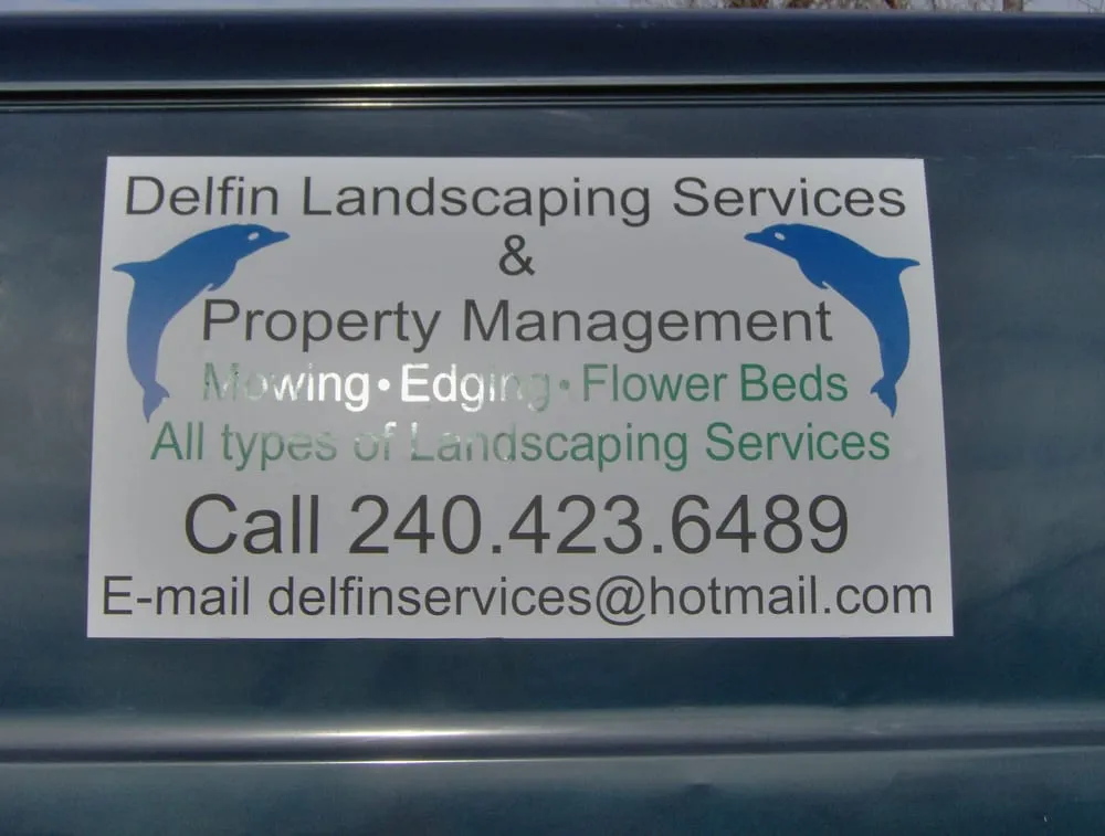 Expert yard cleanup service for homes in Adelphi, MD by Delfin Landscaping Services