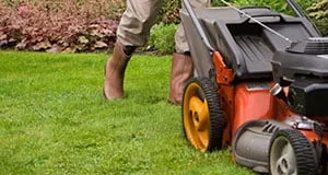 Trusted lawn care service for outdoor upgrades across Blue Grass, IA - Delf's Landscape & Irrigation