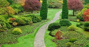 Local lawn care service for beautiful yards in Blue Grass, IA by Delf's Landscape & Irrigation