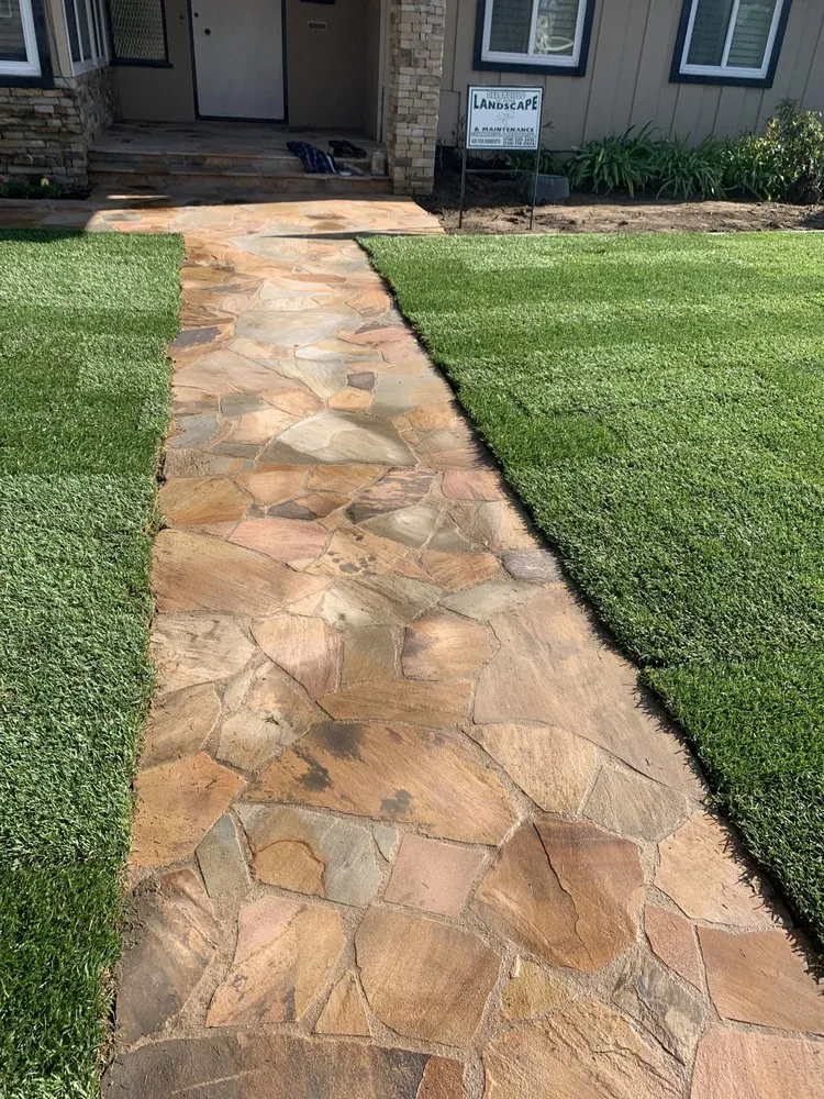 Expert landscaping services experts serving Anaheim, CA - Delgadillo Landscape