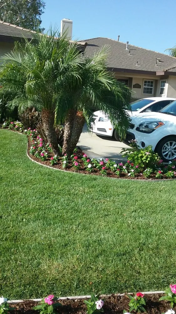 Professional residential landscaping for year-round maintenance across Anaheim, CA - Delgadillo Landscape