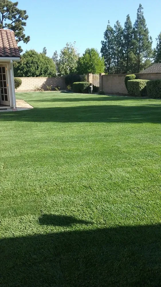 Custom landscaping services experts serving Anaheim, CA - Delgadillo Landscape