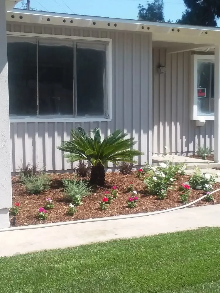 Expert yard cleanup service with custom design in Anaheim, CA by Delgadillo Landscape