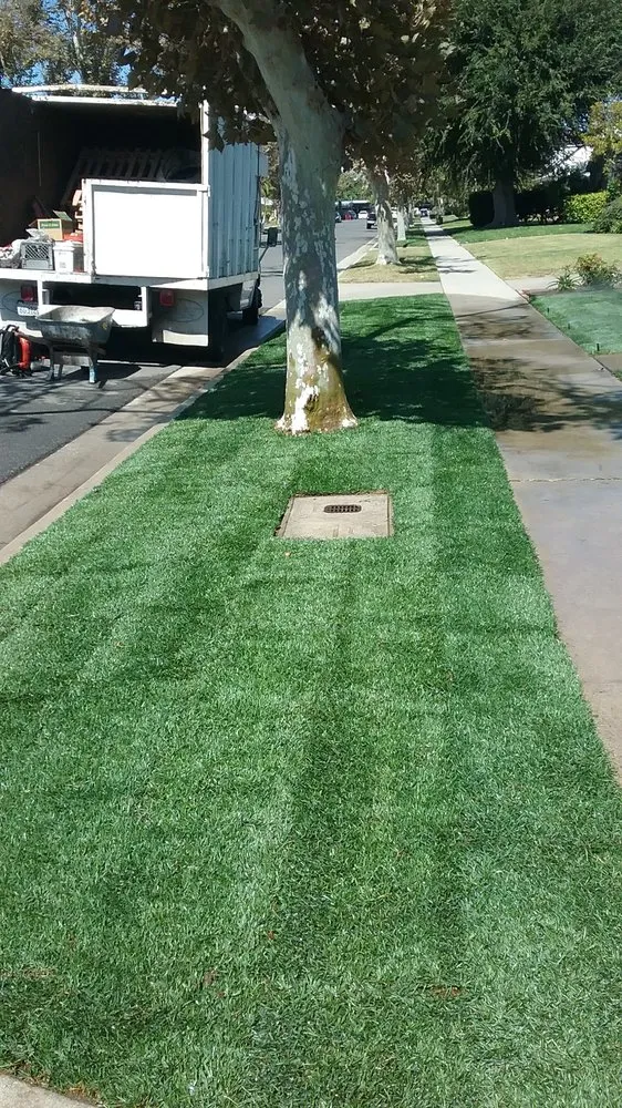 Trusted outdoor landscaping in Anaheim, CA by Delgadillo Landscape