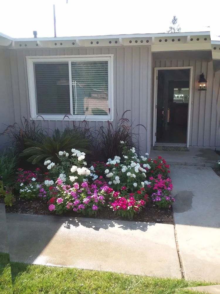 Trusted landscape design experts serving Anaheim, CA - Delgadillo Landscape