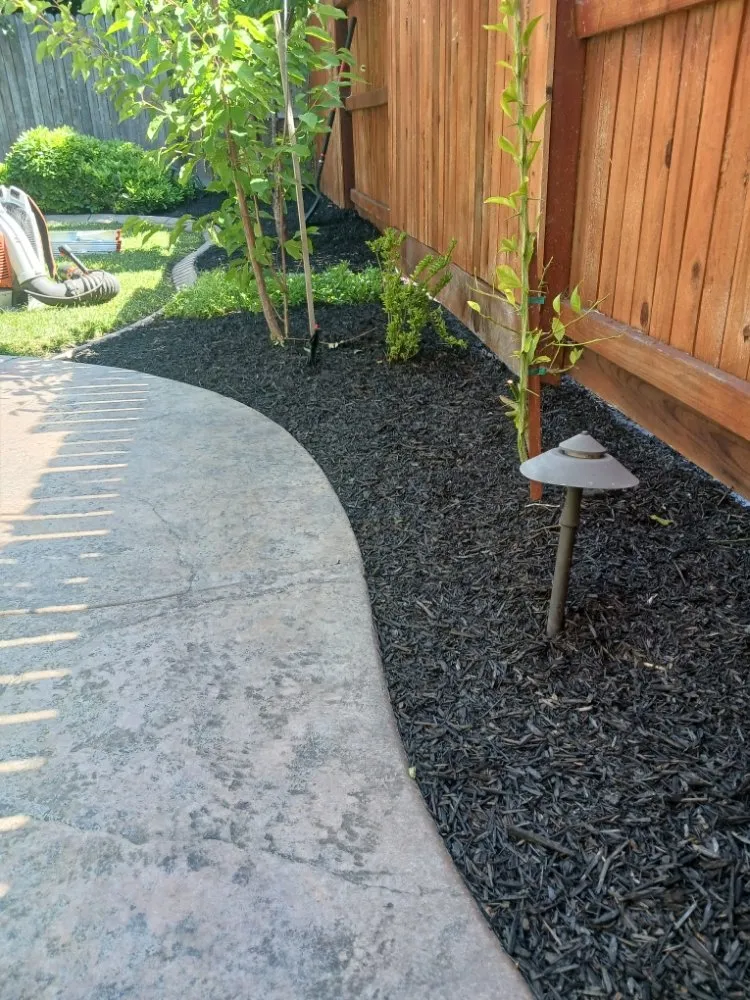 Expert lawn care service in Stockton, CA by Delgadillo Lawn Care