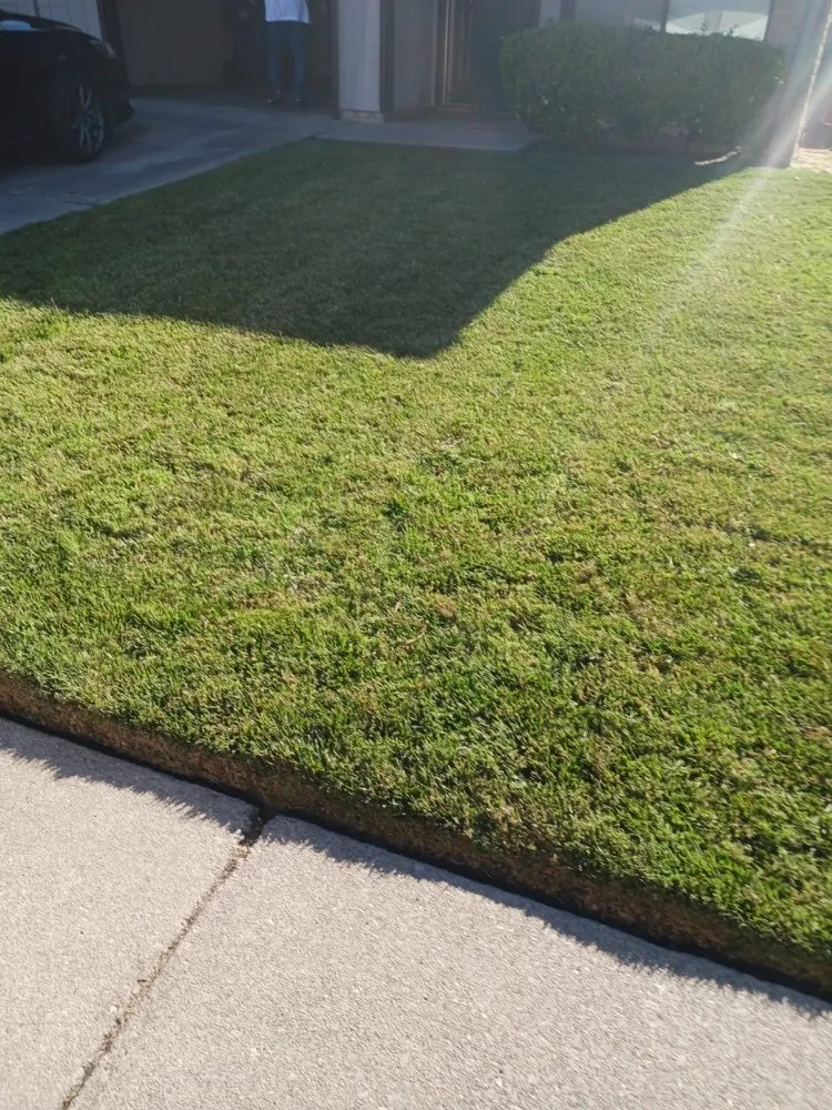 Reliable lawn care service experts serving Stockton, CA - Delgadillo Lawn Care