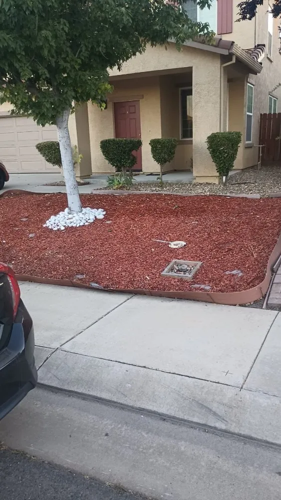 Professional landscape installation for outdoor upgrades in Stockton, CA by Delgadillo Lawn Care