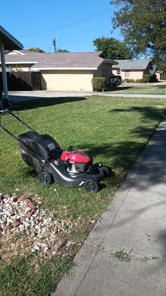 Reliable outdoor landscaping experts serving Stockton, CA - Delgadillo Lawn Care
